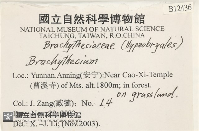 登錄號:B00012436藏品圖，第2張