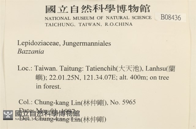 登錄號:B00008436藏品圖，第2張