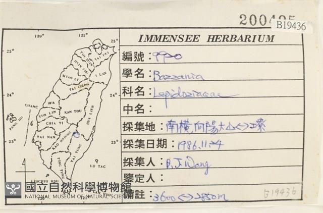 登錄號:B00019436藏品圖，第2張