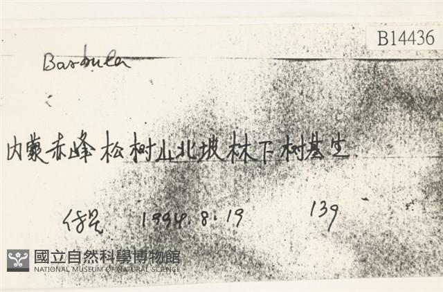 登錄號:B00014436藏品圖，第2張