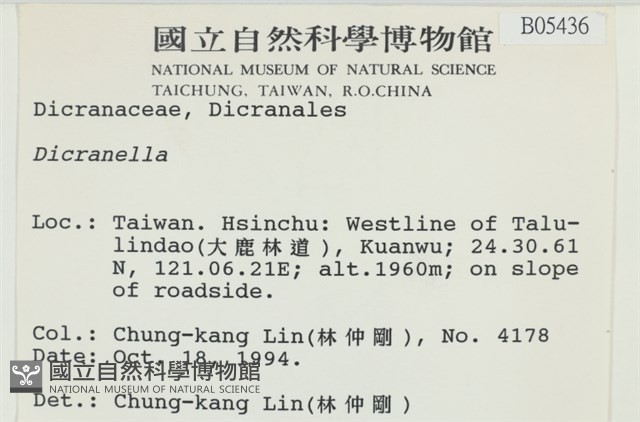 登錄號:B00005436藏品圖，第2張