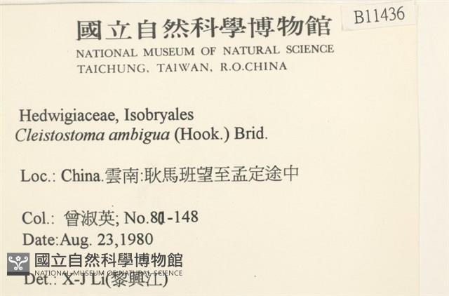 蔓枝蘚藏品圖，第2張