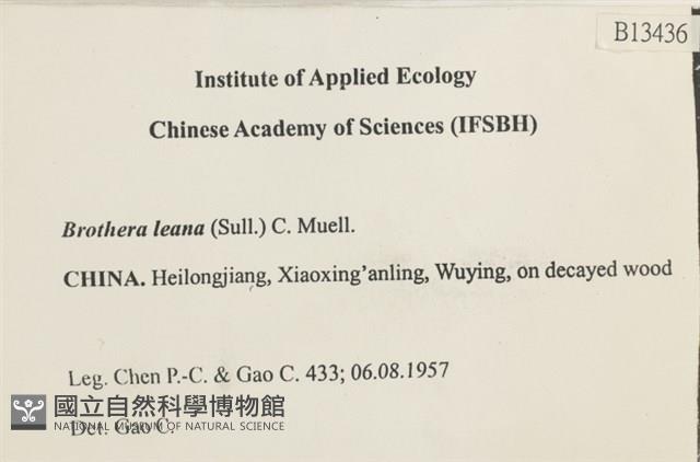 登錄號:B00013436藏品圖，第2張