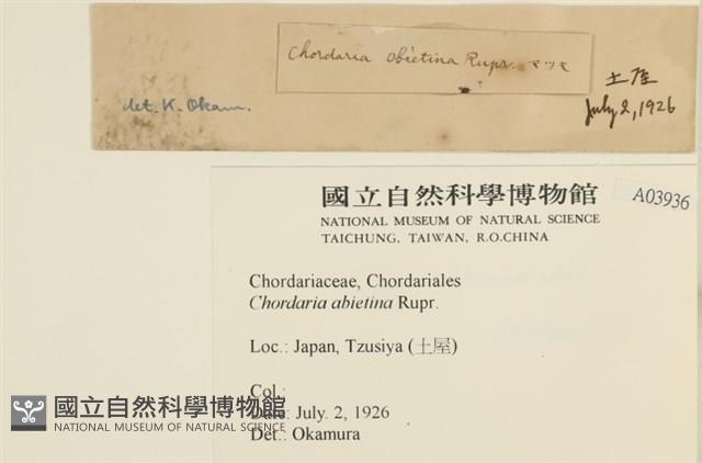 登錄號:A00003936藏品圖，第2張