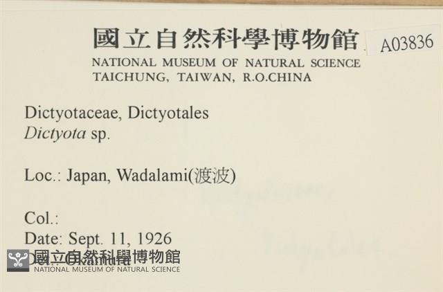 登錄號:A00003836藏品圖，第2張