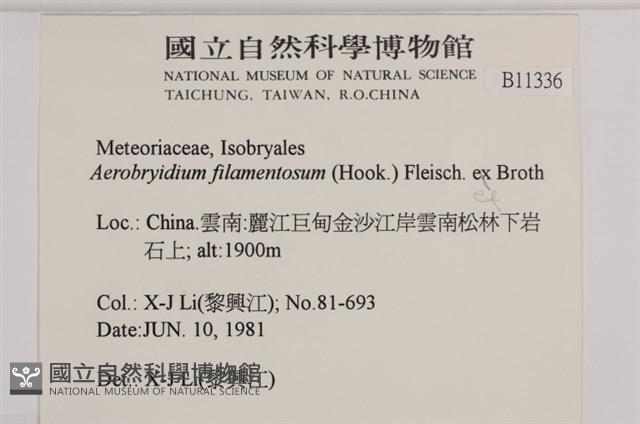 毛扭蘚藏品圖，第2張