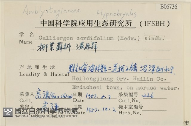 濕原蘚藏品圖，第2張
