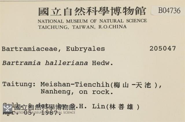 登錄號:B00004736藏品圖，第2張