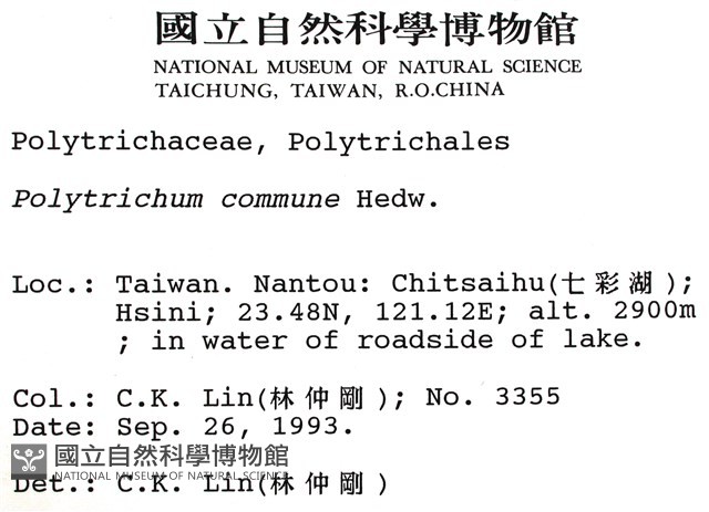 金髮蘚藏品圖，第2張