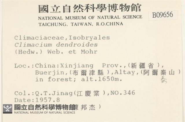 登錄號:B00009656藏品圖，第2張