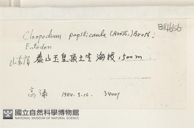 登錄號:B00014656藏品圖，第2張