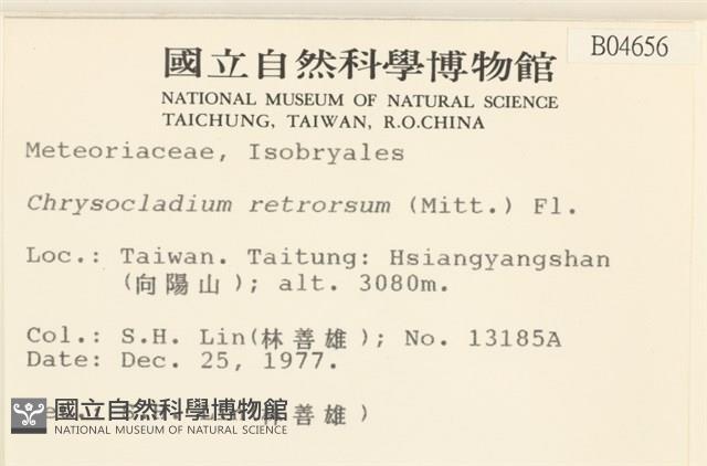 登錄號:B00004656藏品圖，第2張