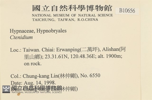 登錄號:B00010656藏品圖，第2張