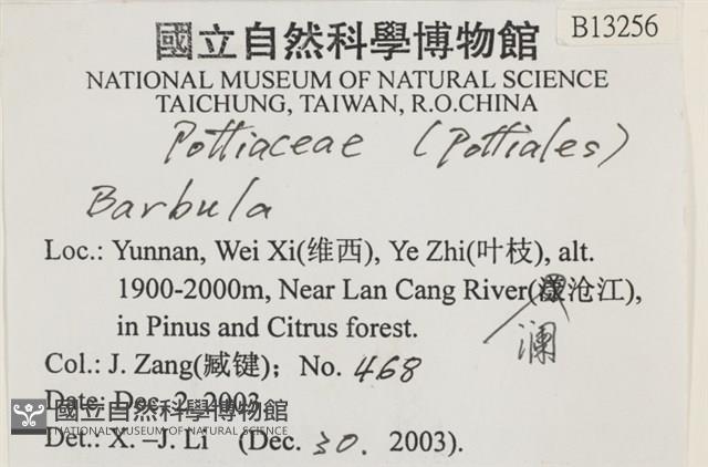 登錄號:B00013256藏品圖，第2張