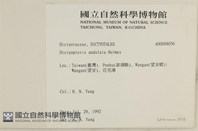 登錄號:A00008056藏品圖，第2張
