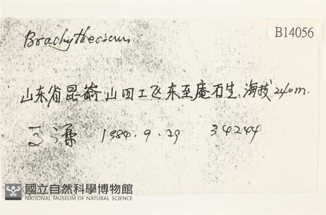 登錄號:B00014056藏品圖，第2張