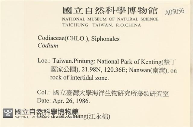 登錄號:A00005056藏品圖，第2張