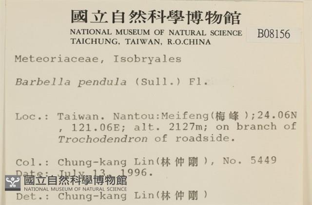 多疣懸蘚藏品圖，第2張