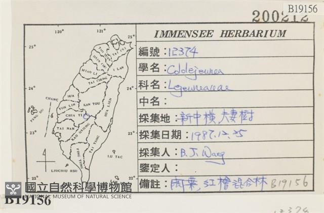 登錄號:B00019156藏品圖，第2張