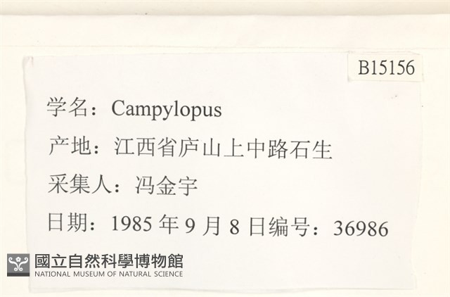 登錄號:B00015156藏品圖，第2張