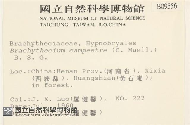 登錄號:B00009556藏品圖，第2張