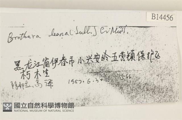 登錄號:B00014456藏品圖，第2張