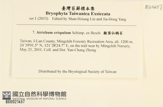 蛇苔藏品圖，第2張