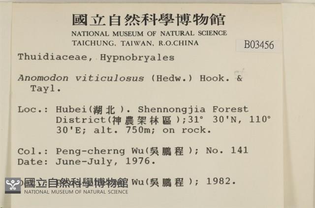 Accession Number:B00003456 Collection Image, Figure 2, Total 2 Figures