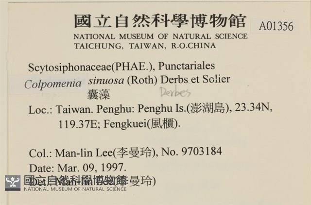 登錄號:A00001356藏品圖，第2張