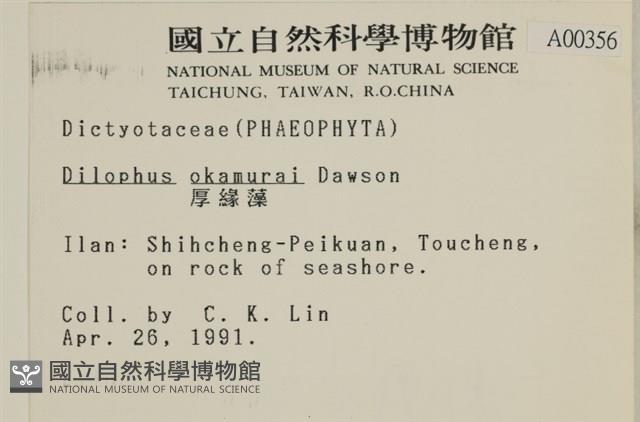 厚緣藻藏品圖，第2張