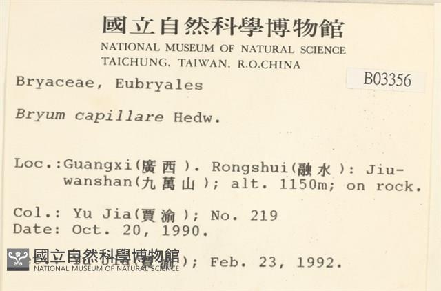 細葉真蘚藏品圖，第2張