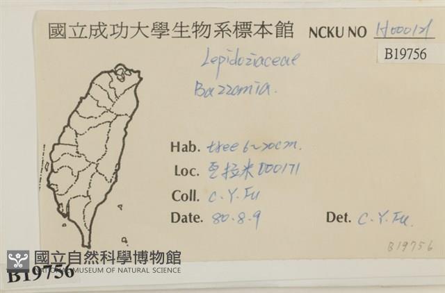 登錄號:B00019756藏品圖，第2張