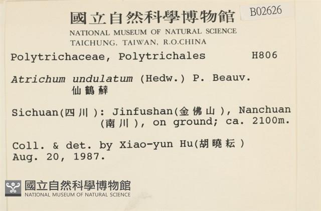 仙鶴蘚藏品圖，第2張