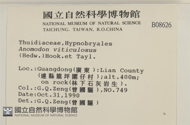 登錄號:B00008626藏品圖，第2張