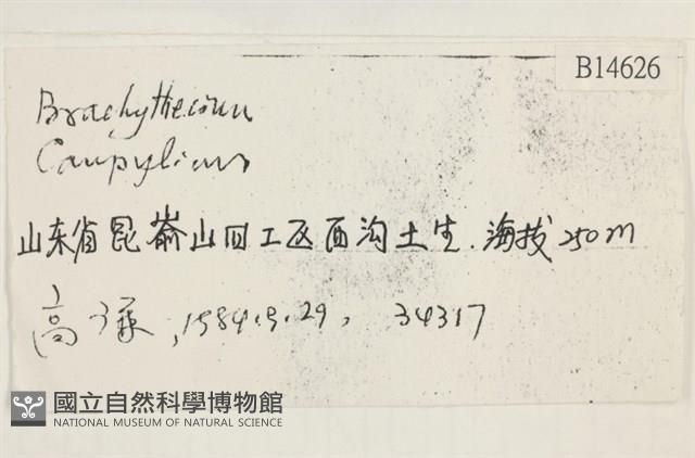 登錄號:B00014626藏品圖，第2張