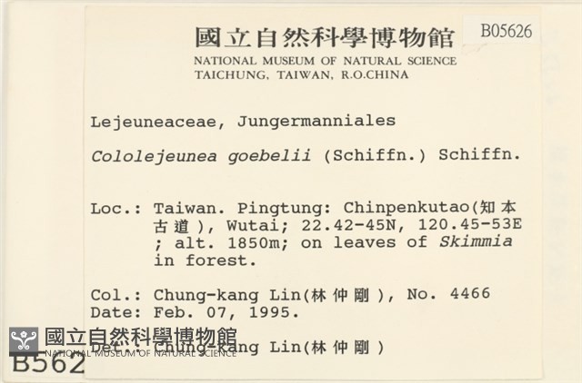 登錄號:B00005626藏品圖，第2張