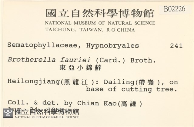 東亞小錦蘚藏品圖，第2張