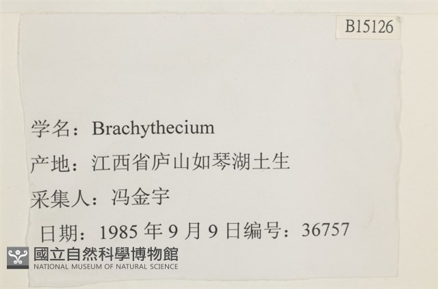 登錄號:B00015126藏品圖，第2張