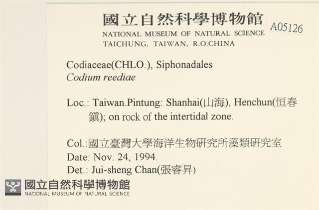 登錄號:A00005126藏品圖，第2張