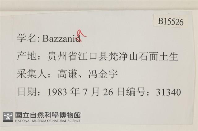 登錄號:B00015526藏品圖，第2張