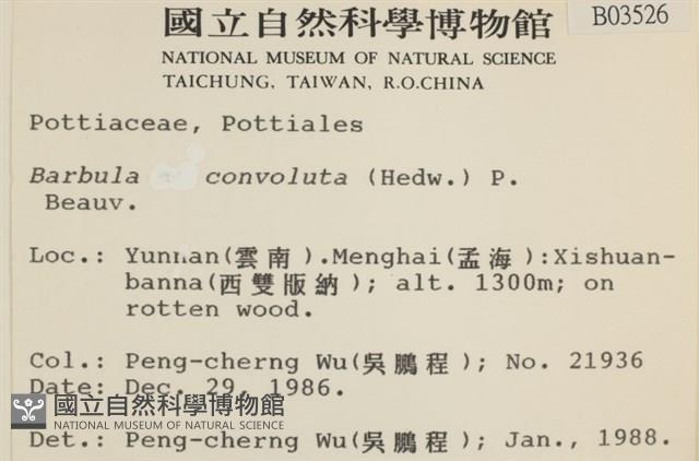 登錄號:B00003526藏品圖，第2張