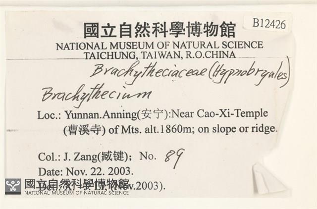 登錄號:B00012426藏品圖，第2張