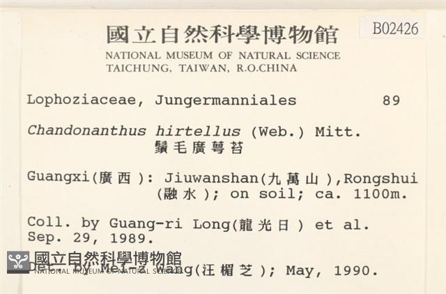 齒邊廣萼苔藏品圖，第2張