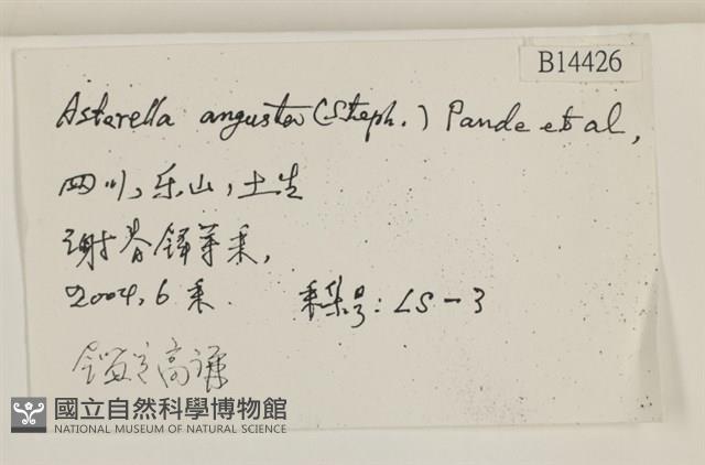 登錄號:B00014426藏品圖，第2張