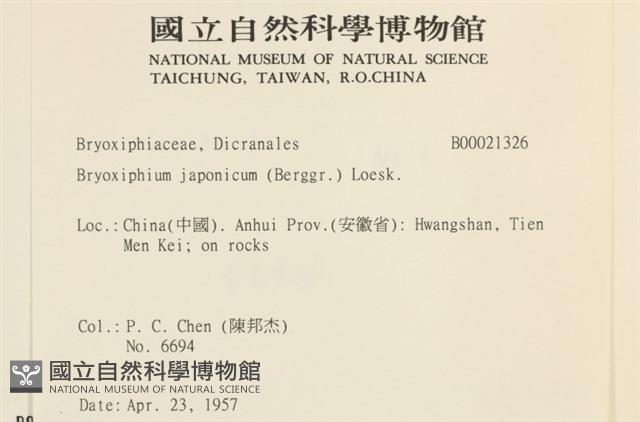 東亞蝦蘚藏品圖，第2張