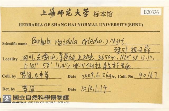 硬葉扭口蘚藏品圖，第2張