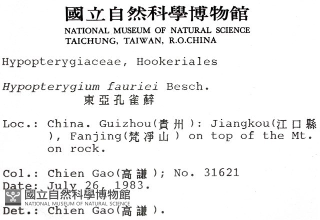 東亞孔雀蘚藏品圖，第2張