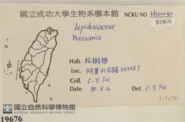 登錄號:B00019676藏品圖，第2張