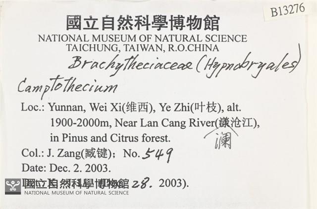 登錄號:B00013276藏品圖，第2張