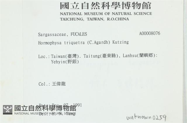 登錄號:A00008076藏品圖，第2張